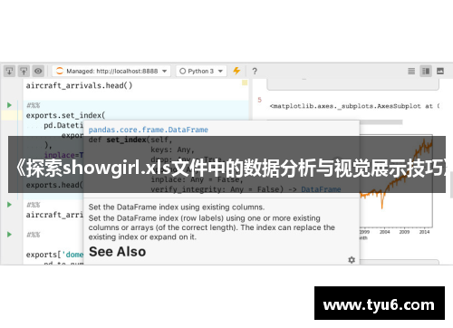 《探索showgirl.xls文件中的数据分析与视觉展示技巧》